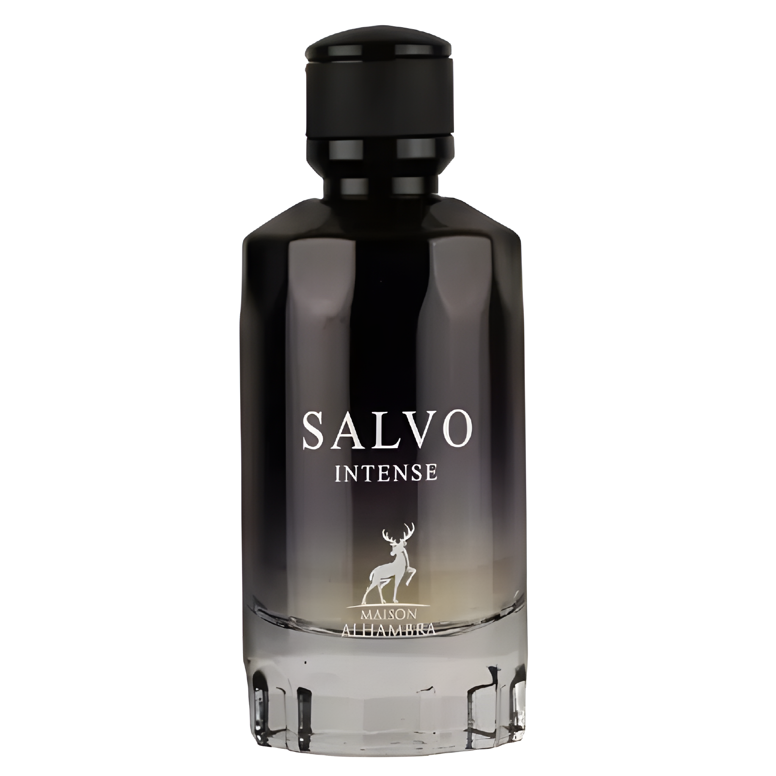 Maison Alhambra Salvo Intense Eau de Parfum for Men Main image
